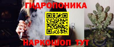 jwh Кимры