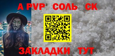 твердый Кингисепп