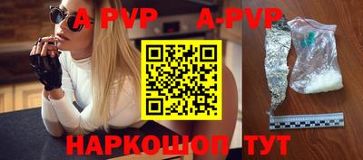 твердый Кингисепп